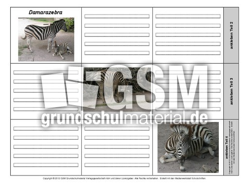 Leporello-Damarazebra-1-2.pdf